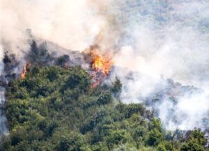 Palermo, vasti incendi: fiamme si avvicinano all’ospedale